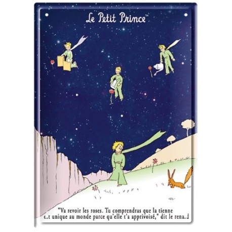 Plaque métal - Va revoir les roses - Le Petit Prince
