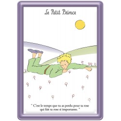 Plaque métal - Paquerettes - Le Petit Prince