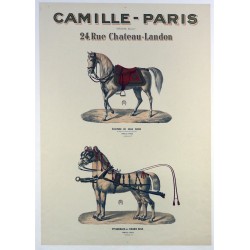 Aff. 55x75cm - Camille Paris Selles (Chevaux)