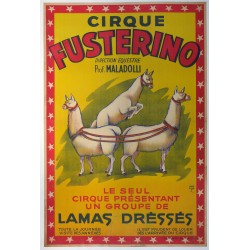 Aff. 77x116cm - Cirque Fusterino Lamas Dressés