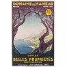 Affiche - Cap Martin Domaine du Hameau - 40x60 Giclée