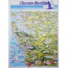 Aff. 58x77cm - Carte Touristique Charente Maritime (Mouettes)